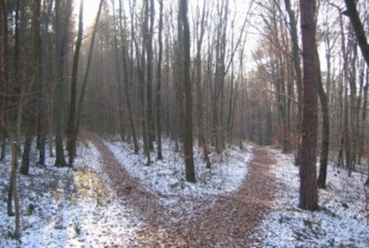 Entrepreneurial Crossroads